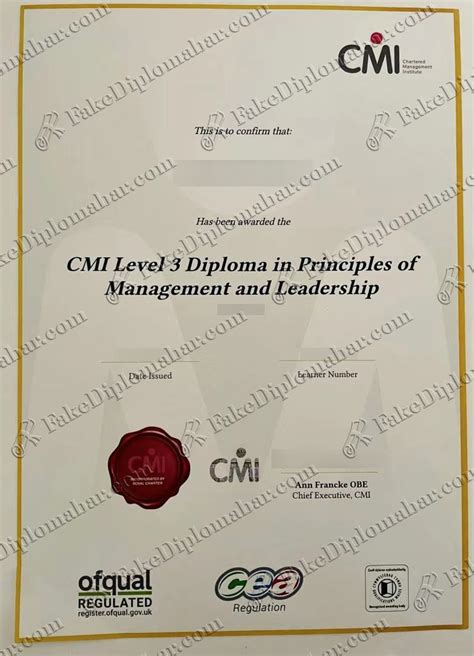 cmi dyplomy.